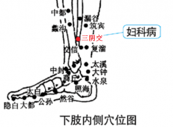 慢性盆腔炎理療儀