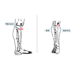 胃十二指腸潰瘍理療儀