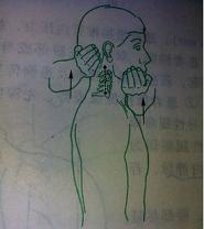 椎間孔分離試驗.jpg