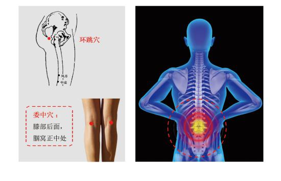 龍馬腰椎治療儀