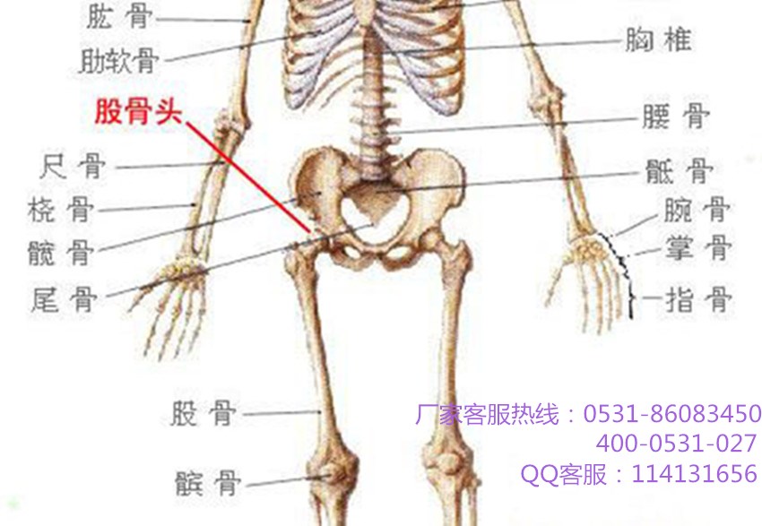 龍馬治療儀 龍馬治療儀
