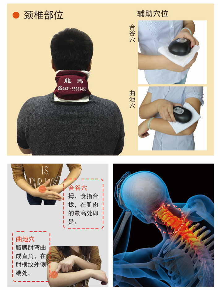 頸椎部位1.png