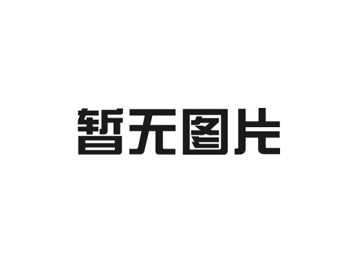 龍馬治療儀